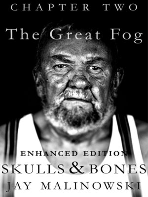cover image of The Great Fog